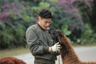 《奇妙的朋友》 收視蟬聯冠軍，飼養員與動物共成長