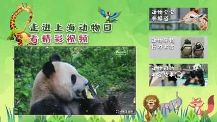 解鎖六一特別陪伴模式 中國(guó)互聯(lián)網(wǎng)電視帶您云游上海動(dòng)物園，探秘動(dòng)物飼養(yǎng)