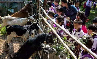 番禺喜出望外生態(tài)樂(lè)園 超值野炊套餐，全家共享秋日田園之樂(lè)